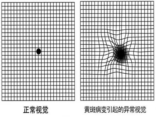 微信图片_20220129093519.jpg