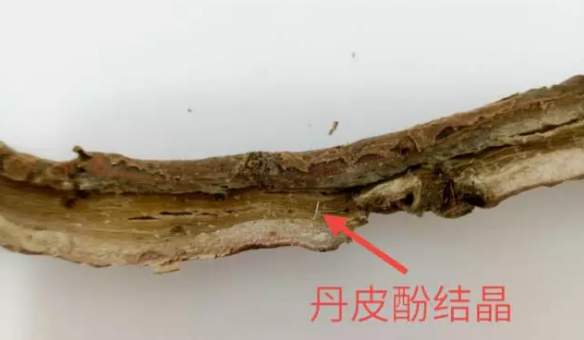 图片3.png 图片3.png