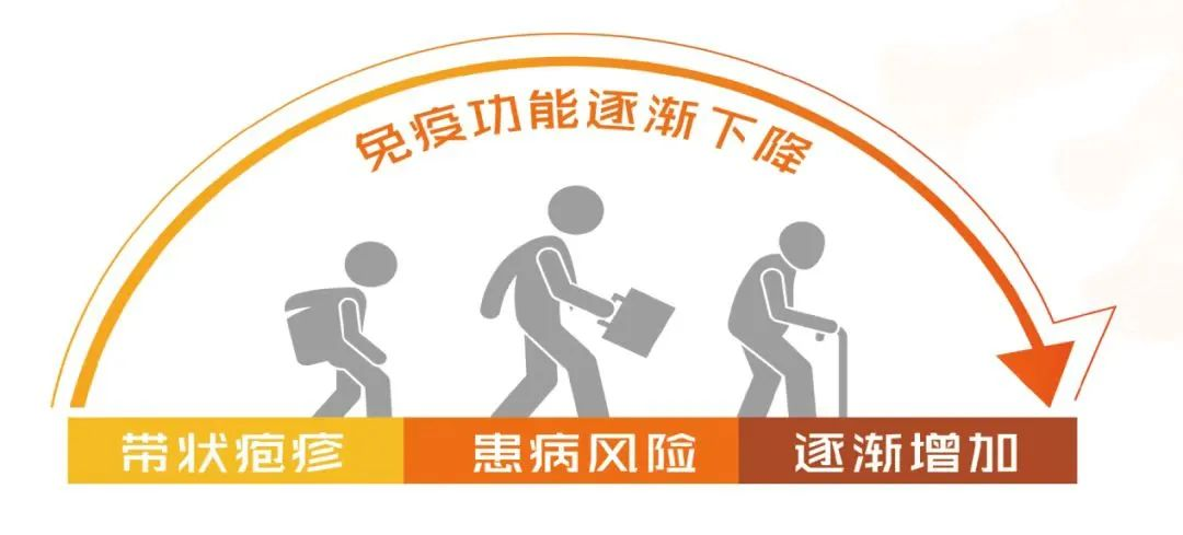 图片 3.png