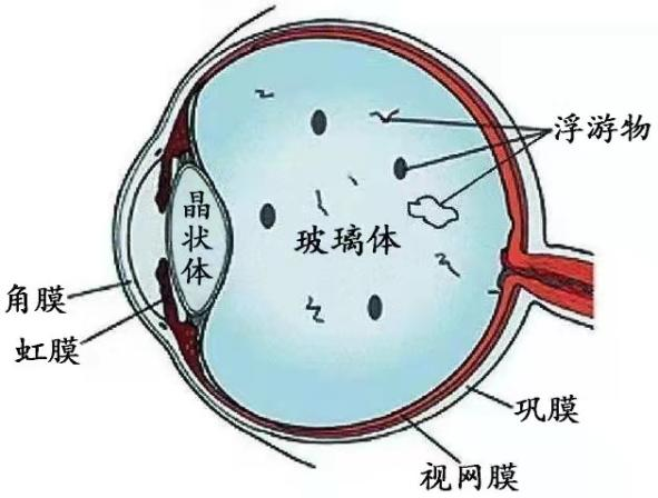 微信图片_20220221085427.png