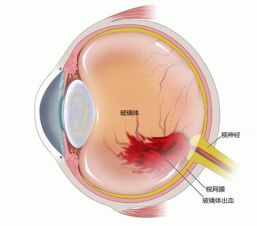 微信图片_20220221085435.png
