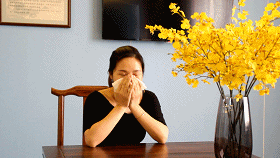 6373792475900252349377304.gif