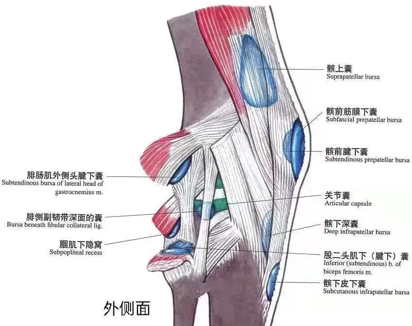 微信图片_20220516102546.jpg 微信图片_20220516102546.jpg