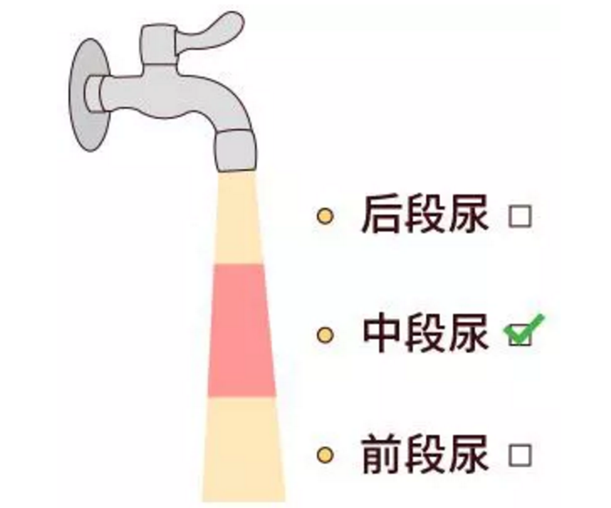 d7a5db5335f6c2e9a37052df0f9340d.png