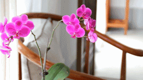 6373679434941431778724249.gif