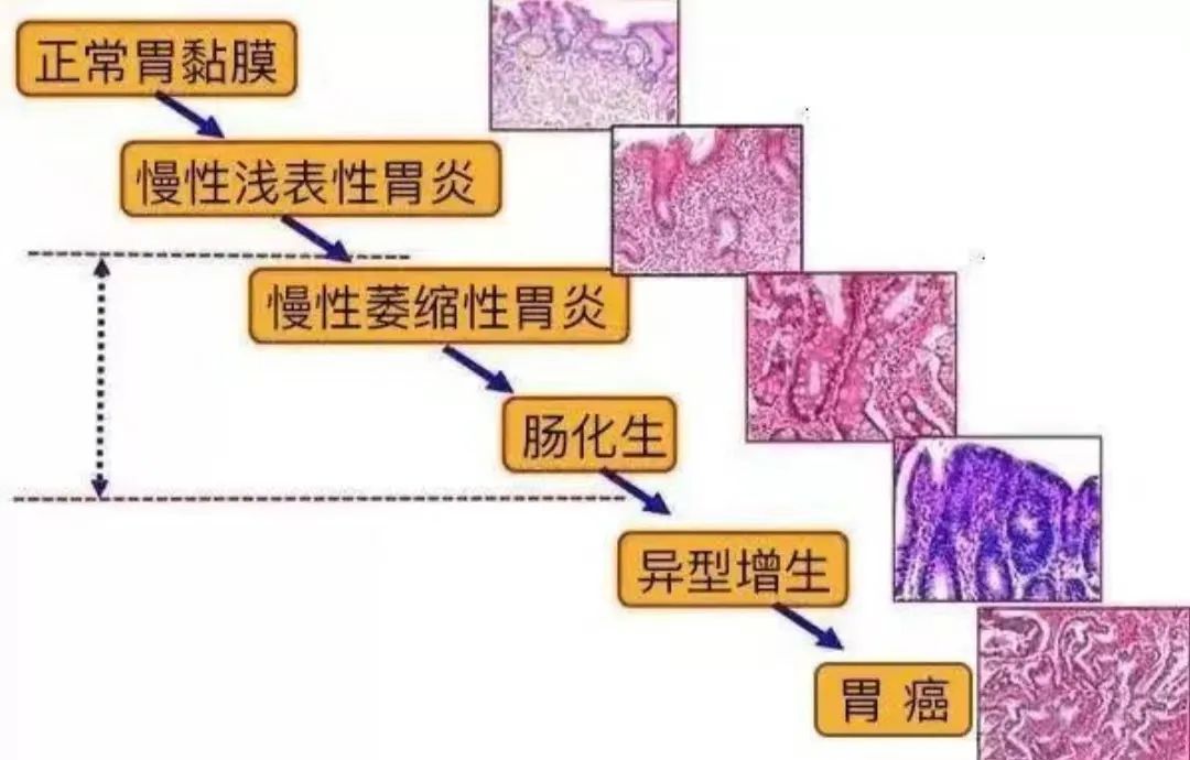 微信图片_20220609082544.jpg 微信图片_20220609082544.jpg
