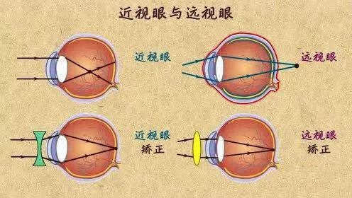 下载.jpg