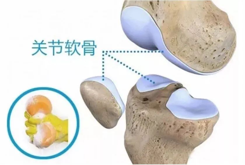 微信图片_20211105085453.jpg 微信图片_20211105085453.jpg